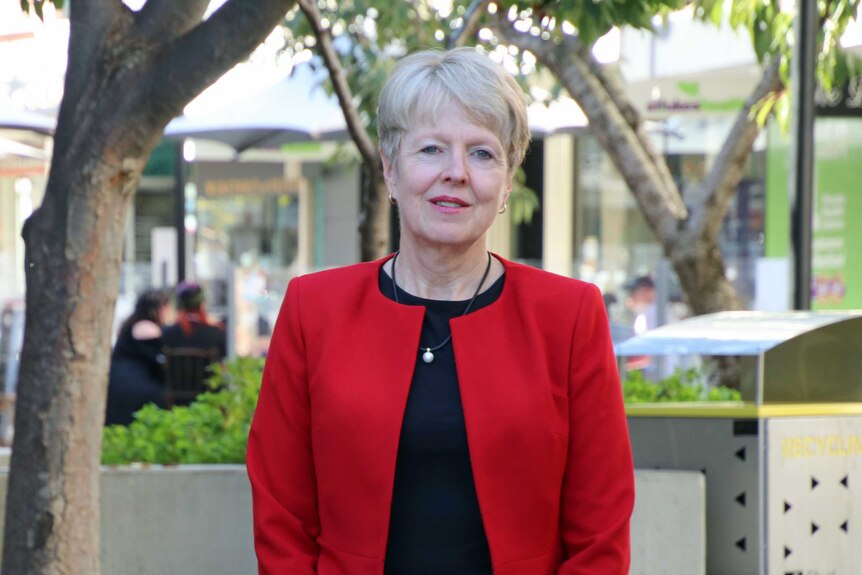 Maree Tetlow, the CEO Northern Tasmanian Development Corporation stands outside.