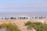 A large group of people mill about the edge of a large lake with sand around the edge