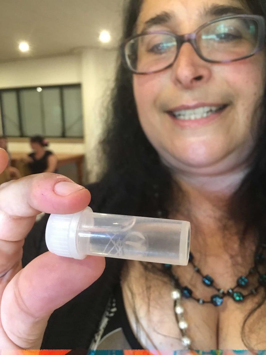 Lisa-Ann Gershwin holds an irukandji jellyfish in a plastic container.