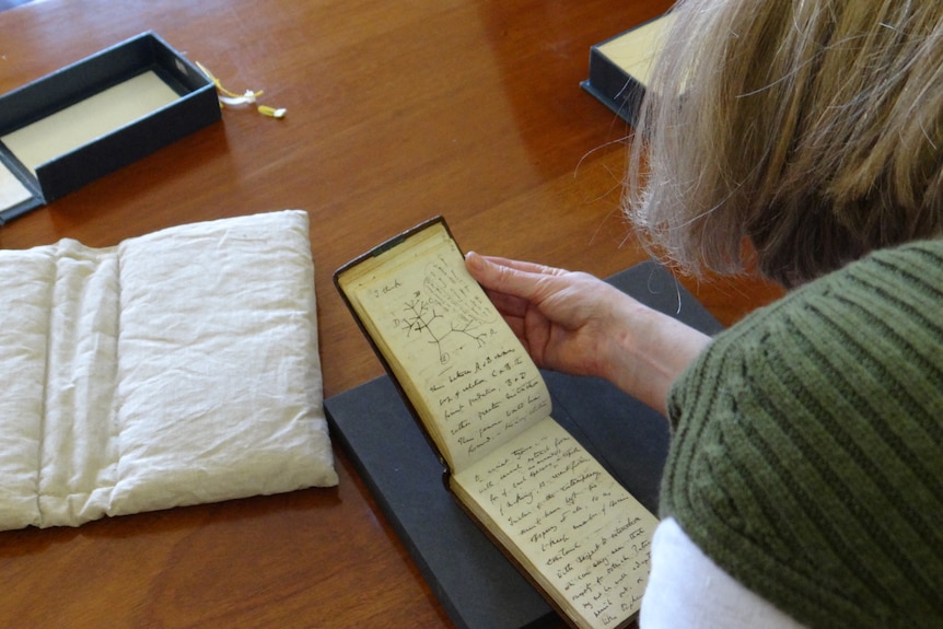 Une femme feuillette les pages d'un petit cahier usagé.