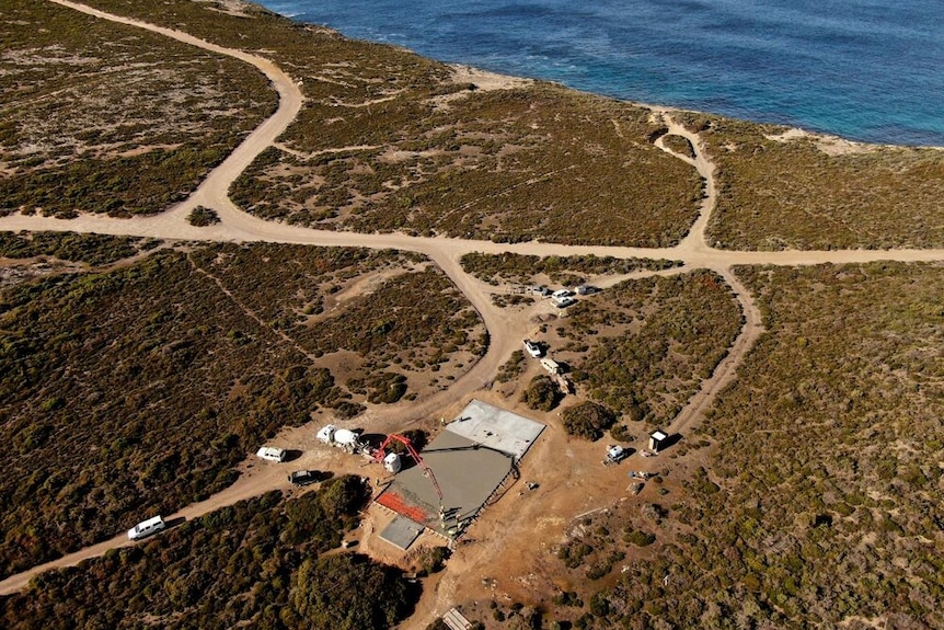 an aerial view of shrubbery and a coastline