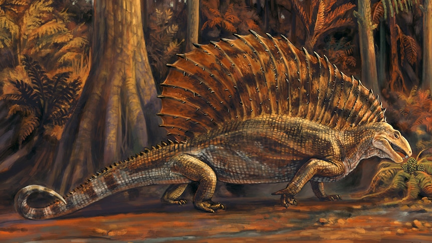 An artist's impression of a Gordodon dinosaur, showing a large lizard with short legs, and a large spiny sail on its back