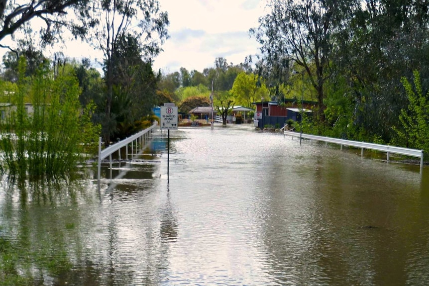 Flooding at Wangaratta in Victoria's north-east