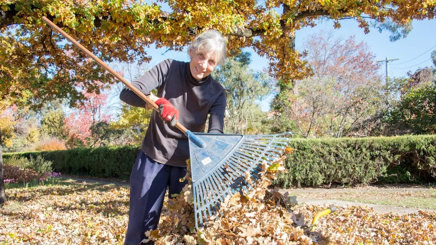 Ann Smith raking up leaves