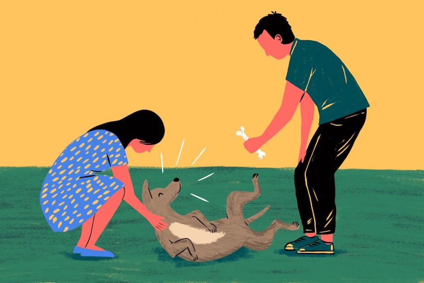 Illustration of two owners playing with their pet dog to depict a healthy resolution to a pet custody dispute.