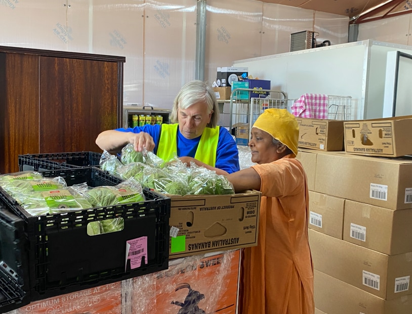 Foto média de duas mulheres separando uma caixa de alface.