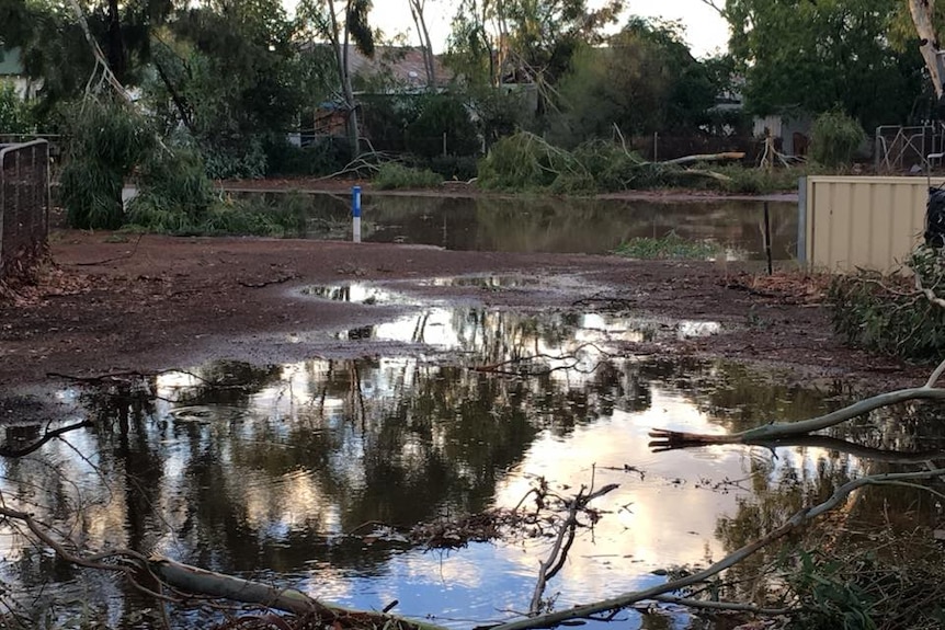 Tree branches all over the ground, around large pools of water.