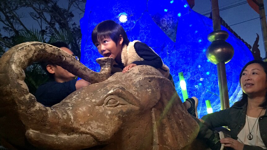 A boy sits on top of an elephant sculpture, with a large blue elephant light installation lit up behind him