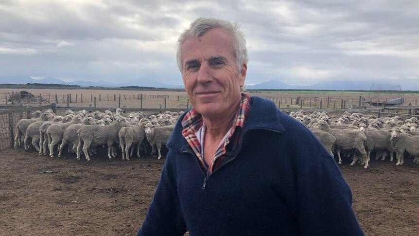 Derek leaning on a fence with a mob of sheep in the background