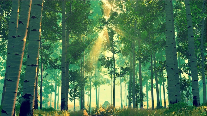 An image from the video game Firewatch of a beautifully detailed 3D green forest
