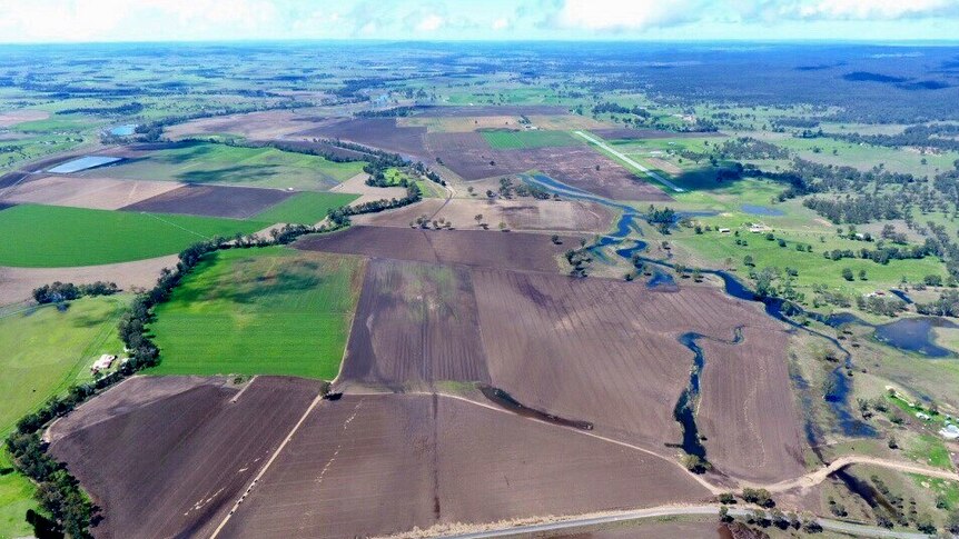 Aerial view of Brown and green grain fields