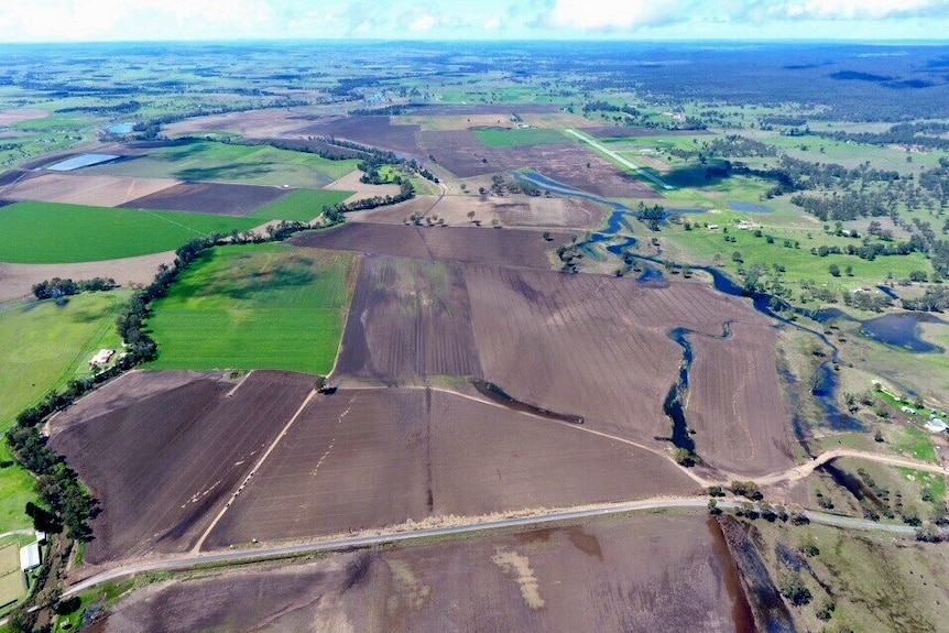 Aerial view of Brown and green grain fields