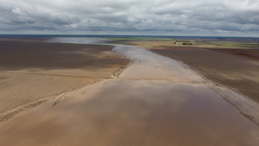 An aerial view of muddy, wet paddocks after the rain