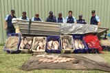 Authorities combine to investigate alleged illegal fishing