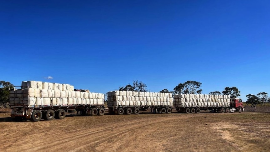 A red truck with three trailers full with bales of Merino wool