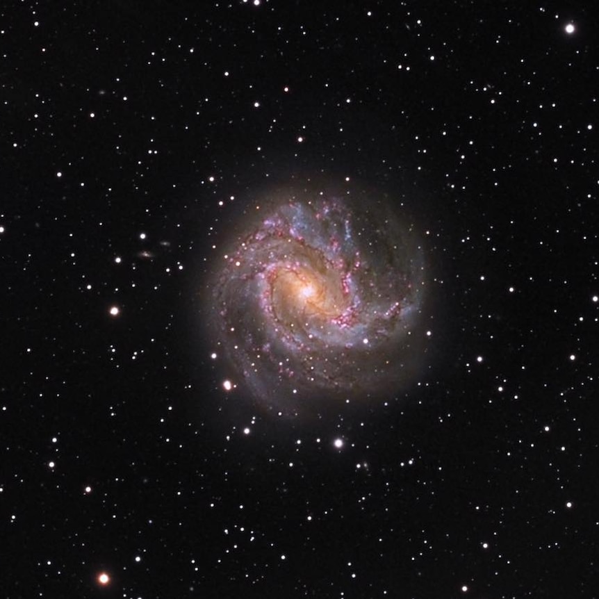 M83, the Southern Pinwheel Galaxy