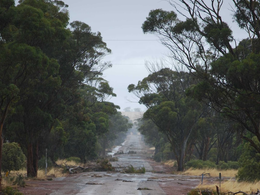 A photos showing tree branches fallen on the road near Yorkrakine, WA
