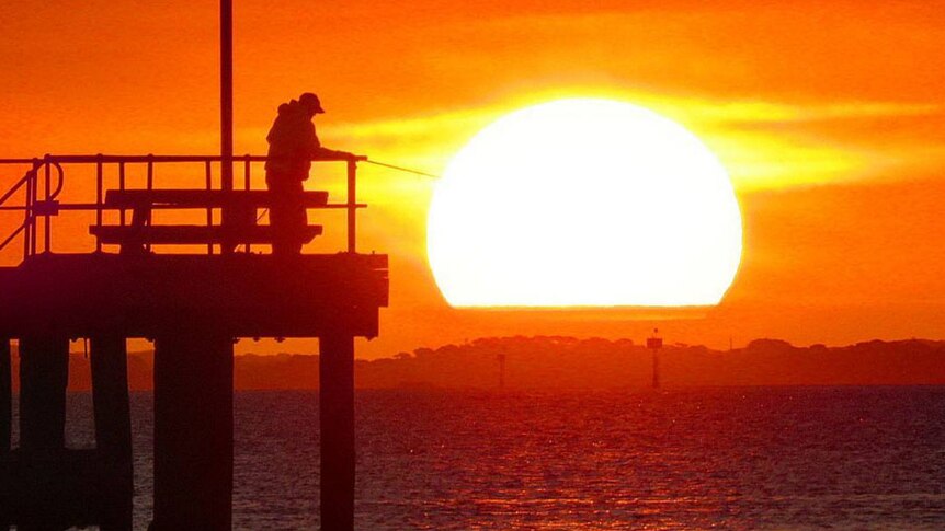 A man fishing off Dromana Pier is silhouetted by the sun, fully visible, setting behind him.