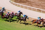 Eight horses gallop around the bend onto the home straight at the Port Lincoln Racing Club