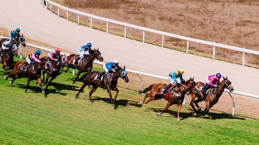 Eight horses gallop around the bend onto the home straight at the Port Lincoln Racing Club