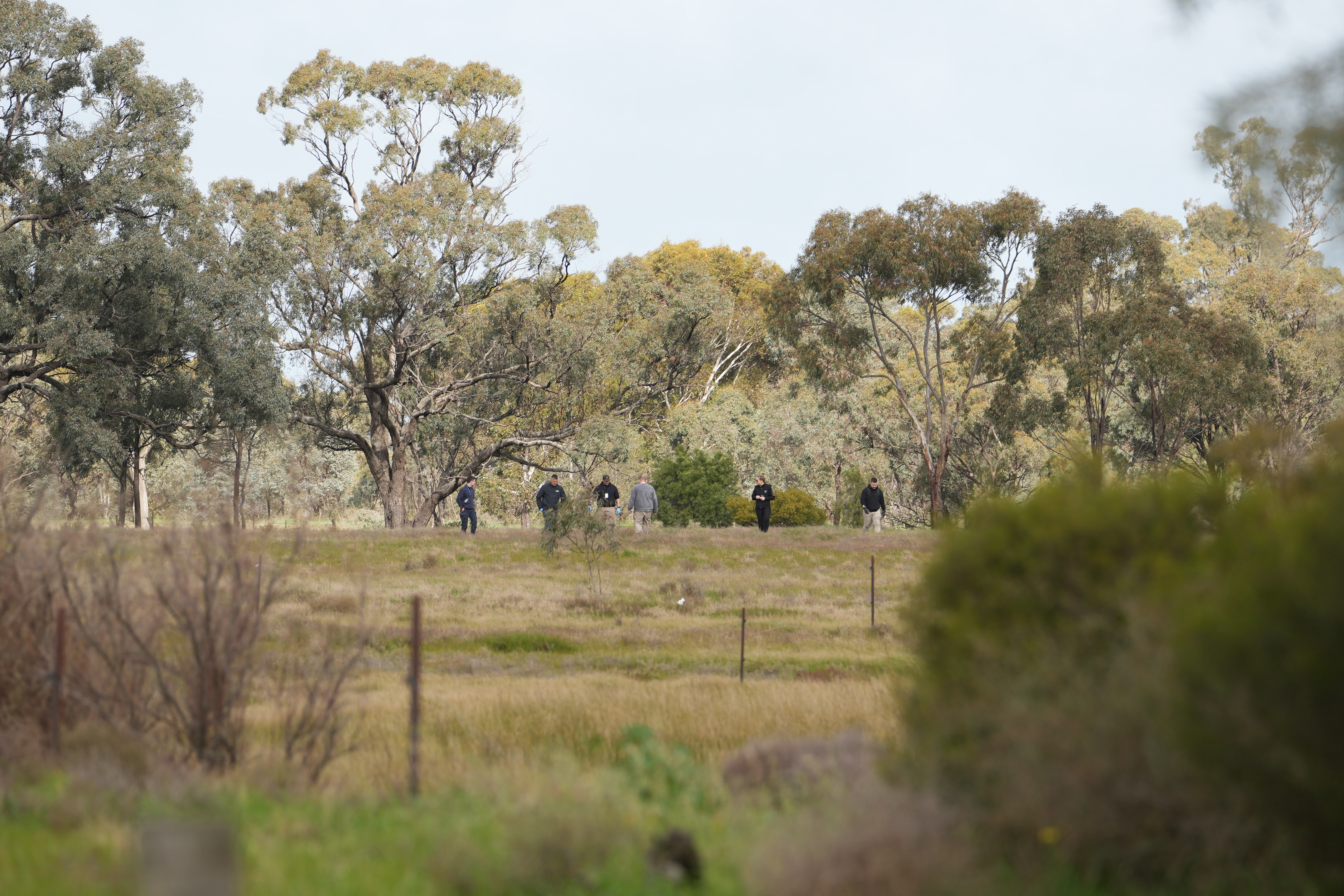 Five people conducting a line search in bushland.