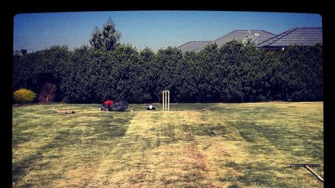 A backyard cricket pitch mown for Australia Day celebrations