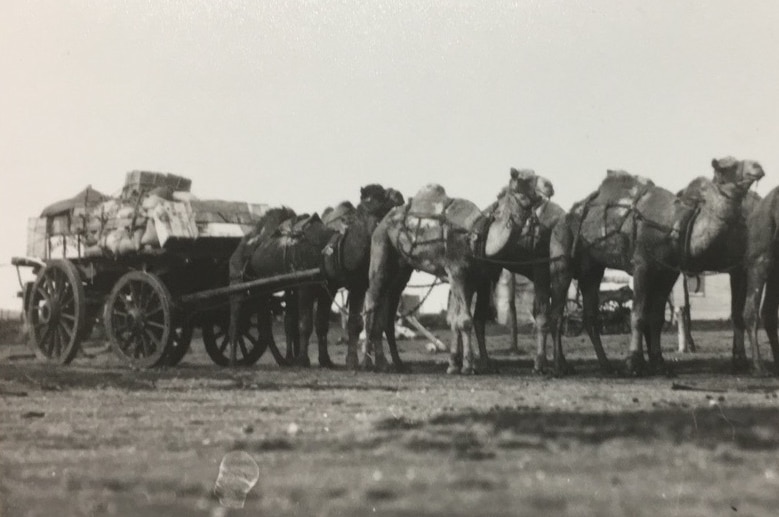 Cameleers driving cart in outback Australia.