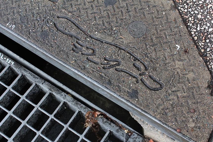 A platypus stencilled in the concrete on a curb in Brisbane.