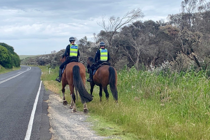 Two police in yellow high-vis ride horses through the grass alongside a road.
