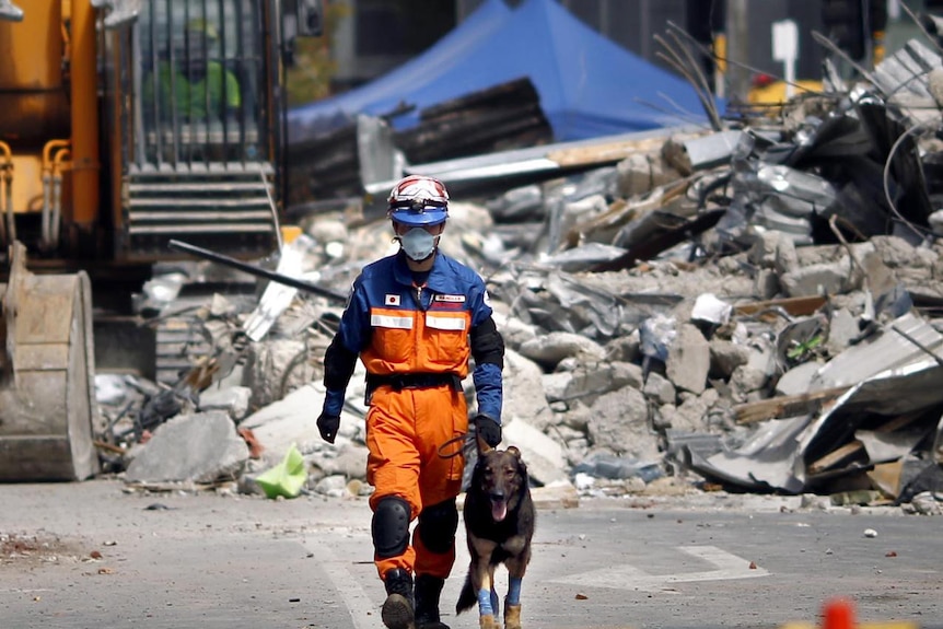 A Japanese rescue worker with a working dog walks past the rubble of the CTV building