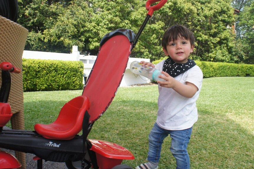 A little boy pictured with a toy trike.