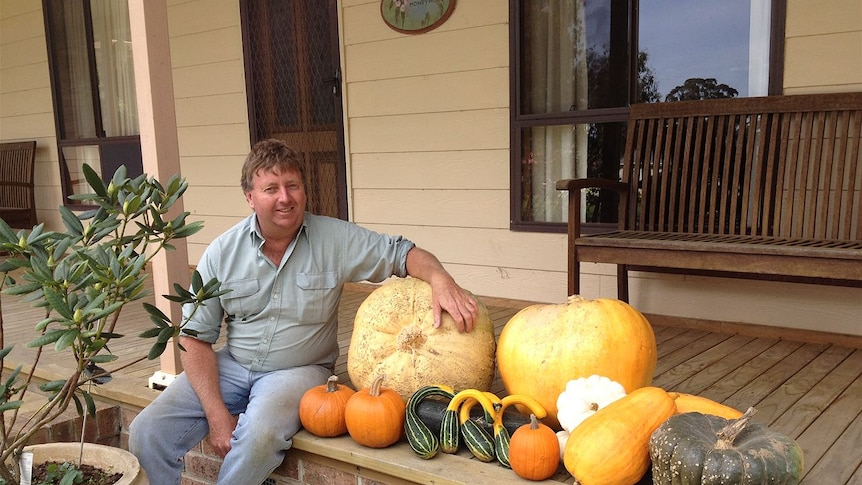 Collector Pumpkin Festival president Gary Poile with his pumpkins