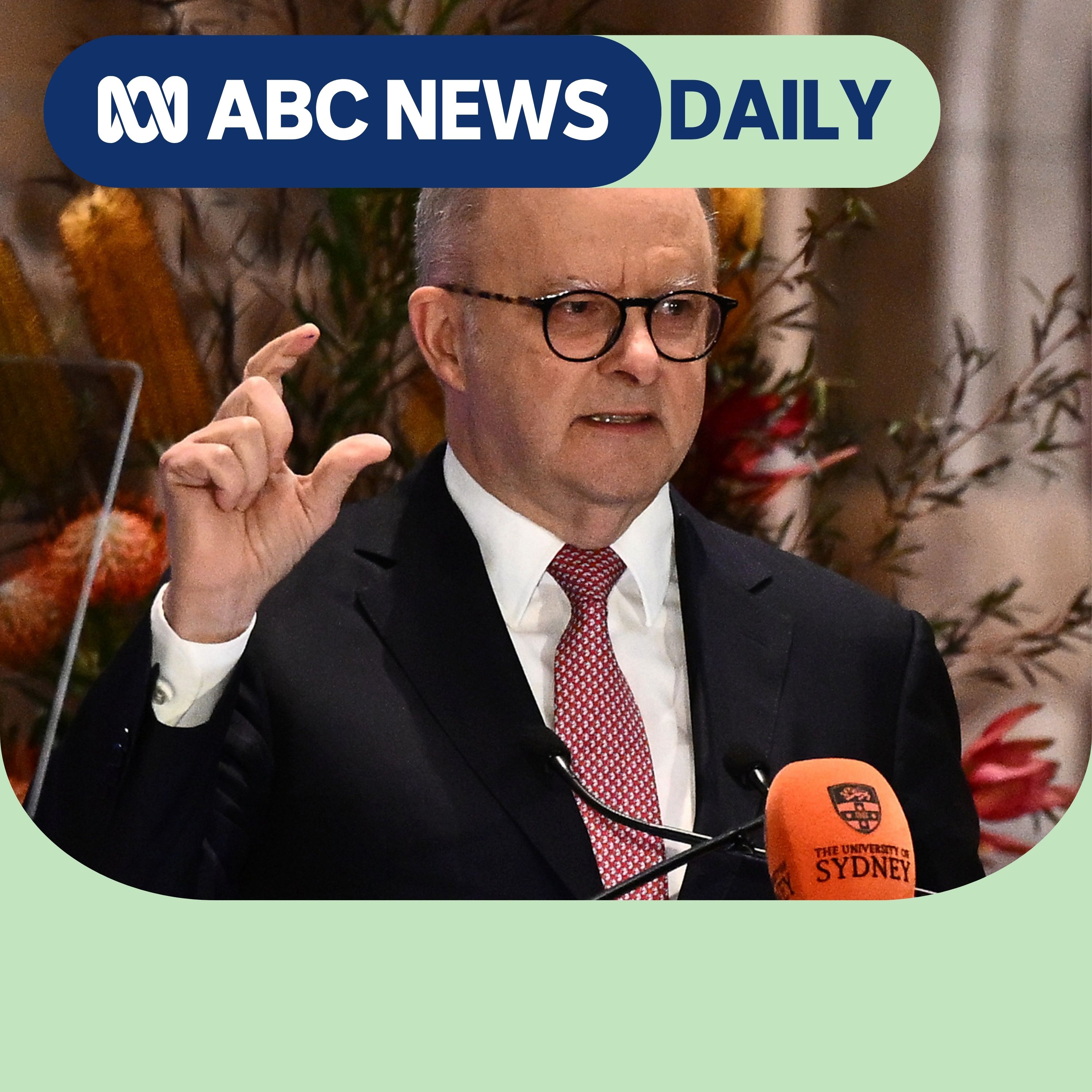 Thumbnail for The gaps in the prime minister’s big AI speech