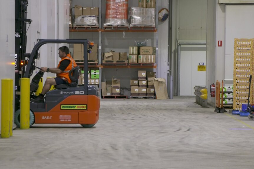 A forklift moves a shipment of avocadoes in a biosecurity warehouse