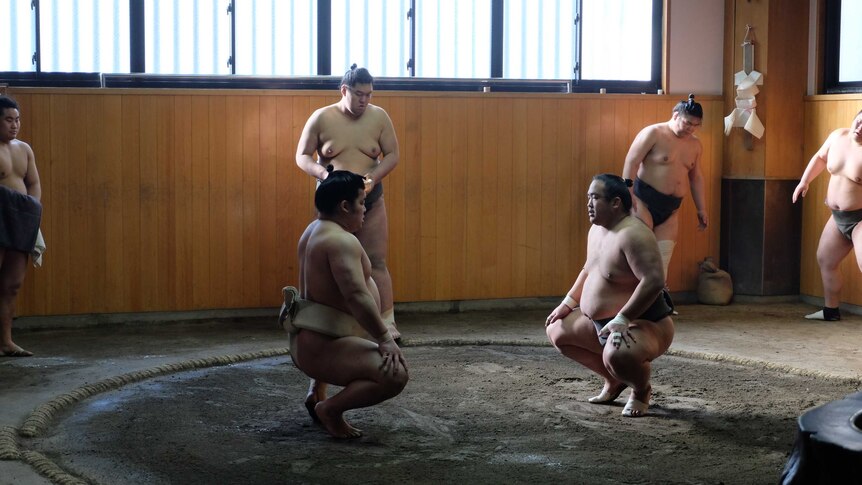 A sumo training house