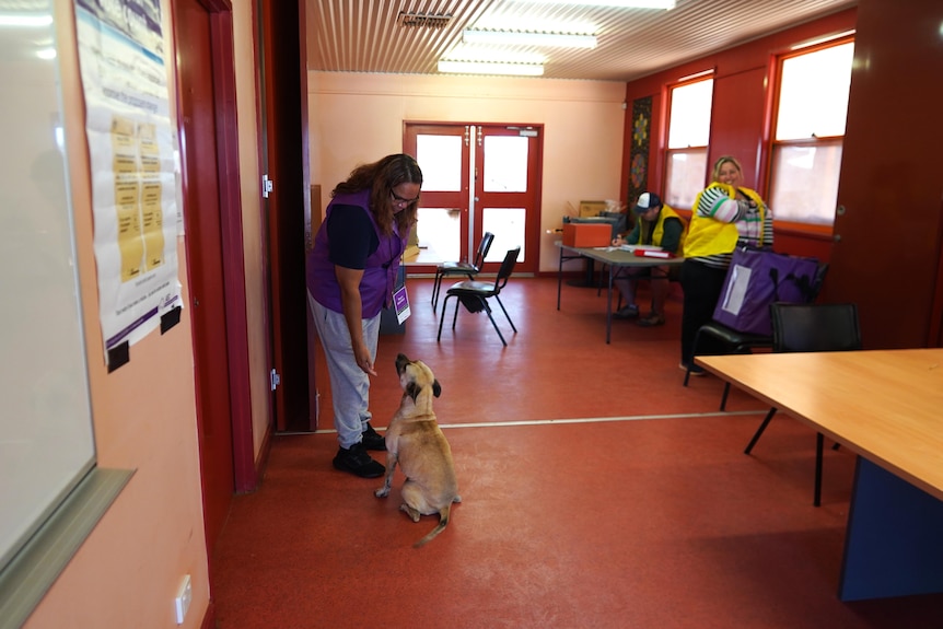 A woman and a dog in a polling place