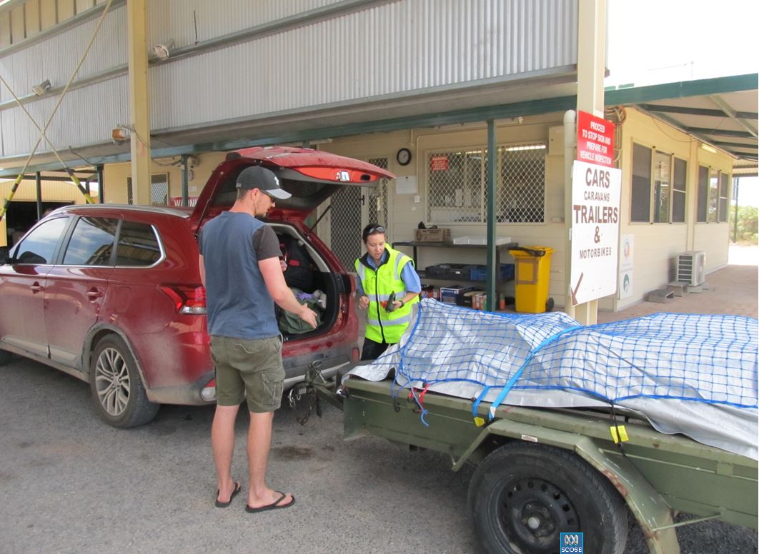 Busy year wraps up for quarantine inspectors on Western Australia's ...