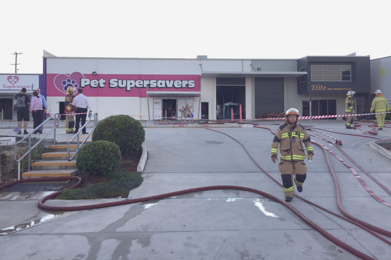Animals saved by firefighters, others killed in pet shop blaze north of