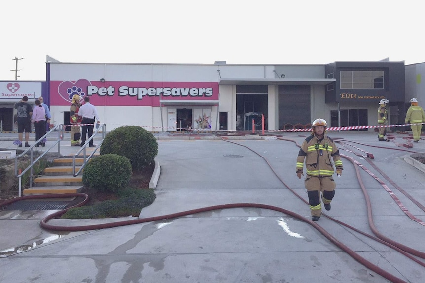 Firefighters outside a pet shop that caught fire