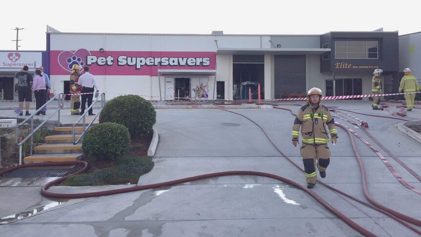 Firefighters outside a pet shop that caught fire