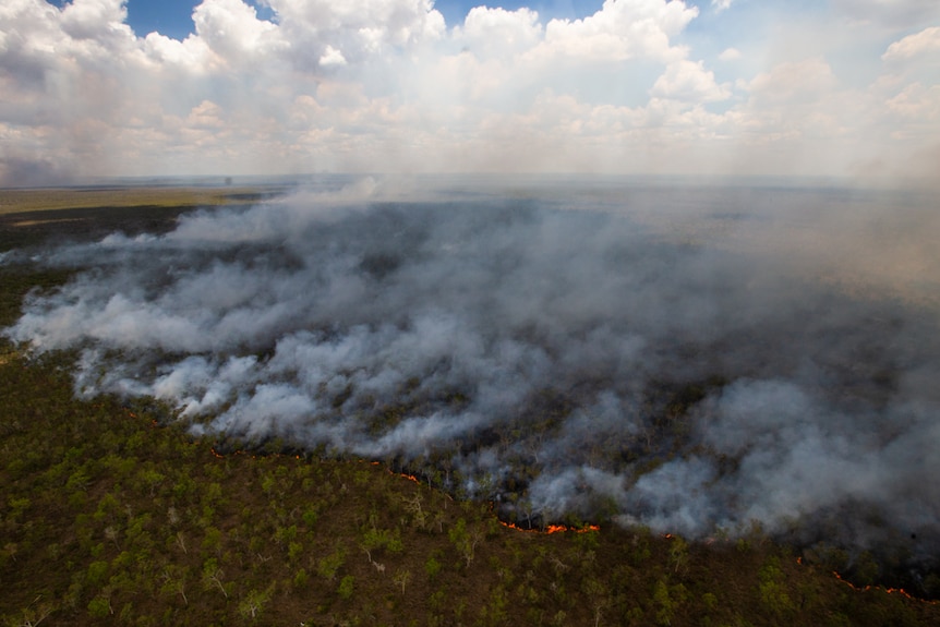 A photo taken from the air, showing flames and smoke rising from a large area of bushland.
