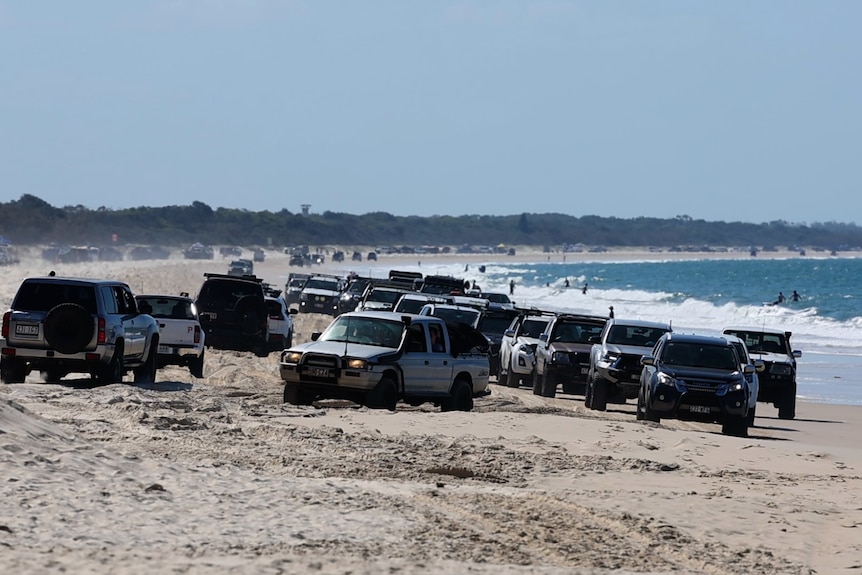 Cars on a beach