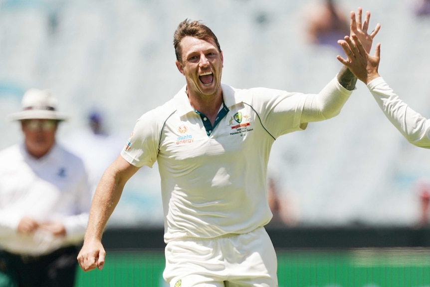 Australia&#39;s James Pattinson retires from Test cricket due to injury  problems - ABC News