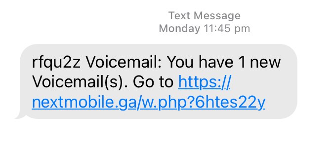 a screenshot of a scam text
