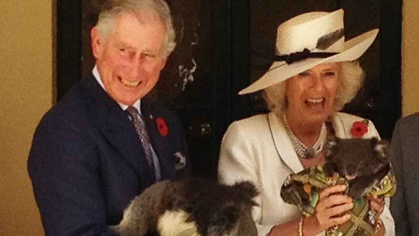 Prince Charles and Camilla hold koalas during visit to Adelaide
