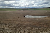 A dry dam in Ross Tasmania