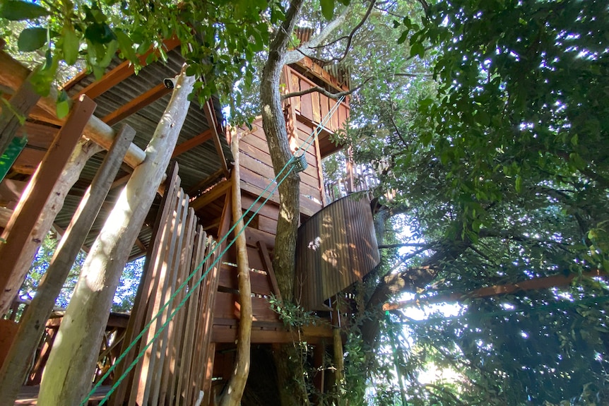 A sprawling tree house as seen from below.