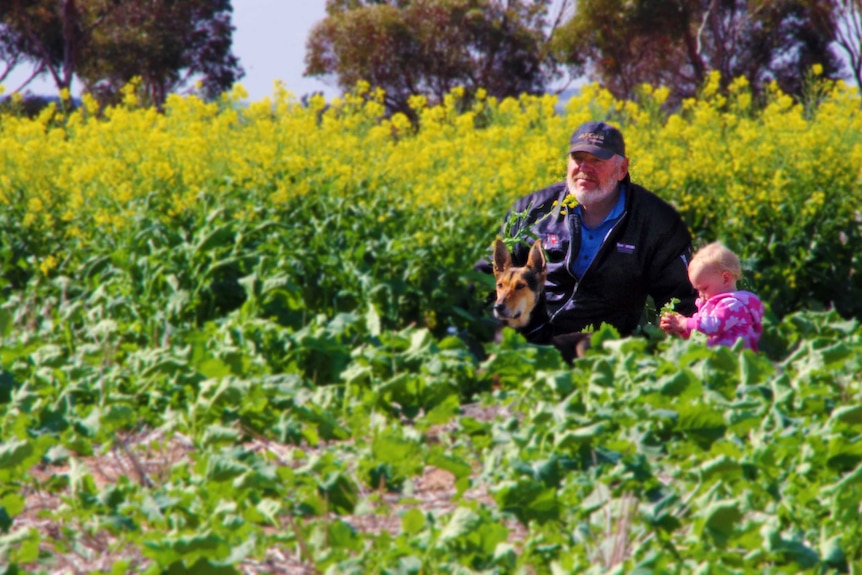 Pithara farmer Gary Butcher