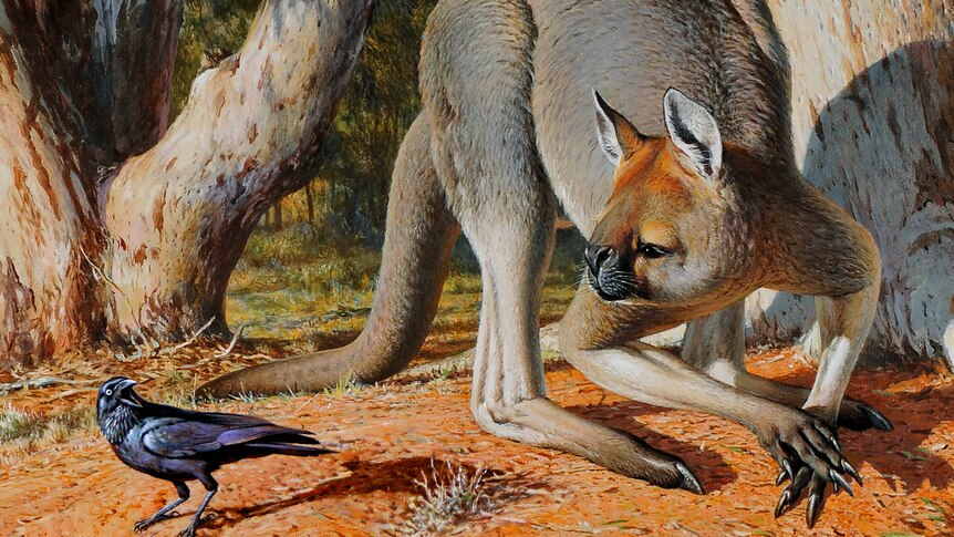 Artist impression of extinct megafauna animal Procoptodon