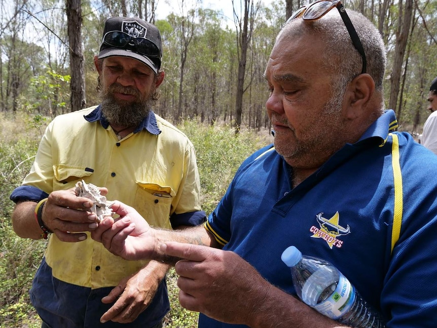 Two men in the bush hold the skull of a wallaby and look at it intently